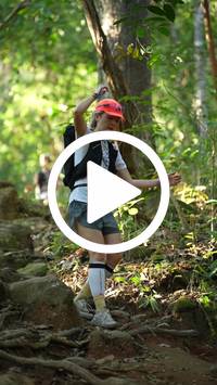 BIB:  <button type="button" onclick="openModal(27639953)" class="btn btn-primary btn-sm float-right" data-toggle="modal" data-target=".modal-high-quality">
                <i class="fa fa-download"></i> Download
                </button>